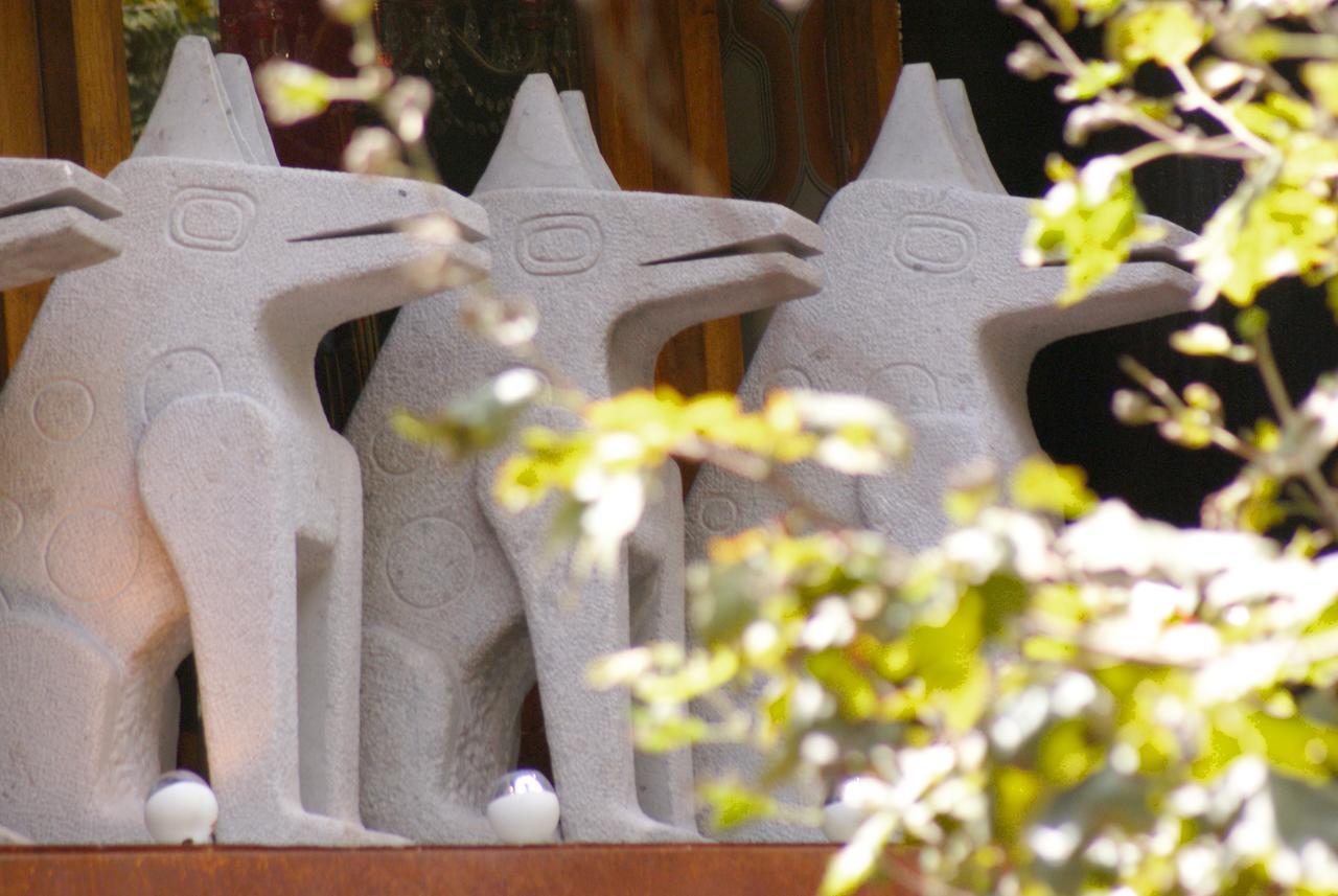 Dolce Lobo Boutique Stay Quito Exteriér fotografie